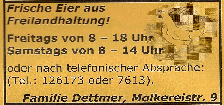 Frische Eier aus Freilandhaltung